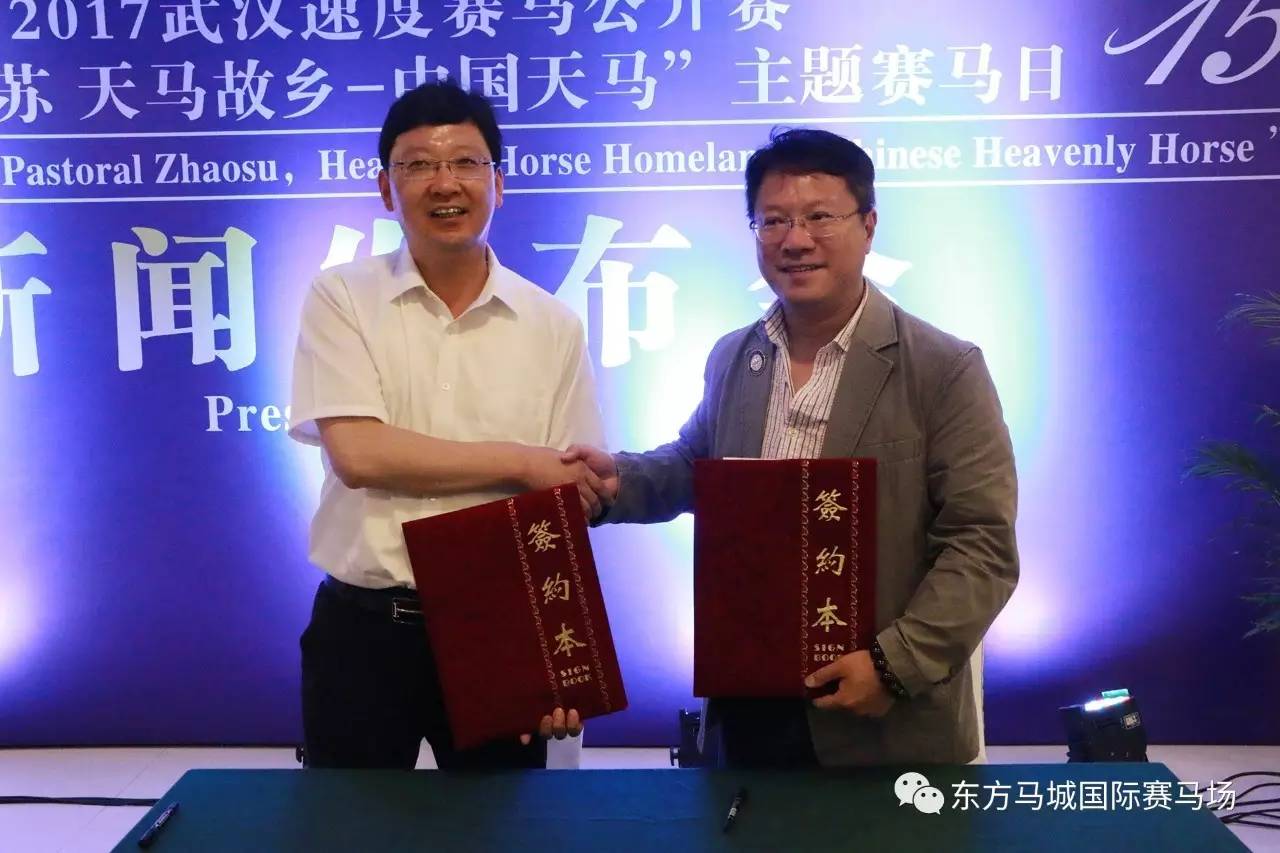 马天才最新动态，时代之光下的璀璨新星崛起